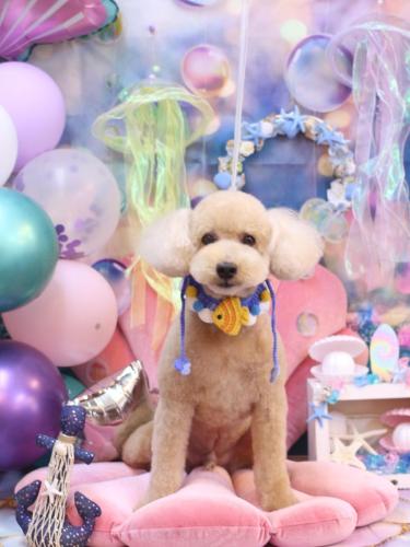 20240801モコくん